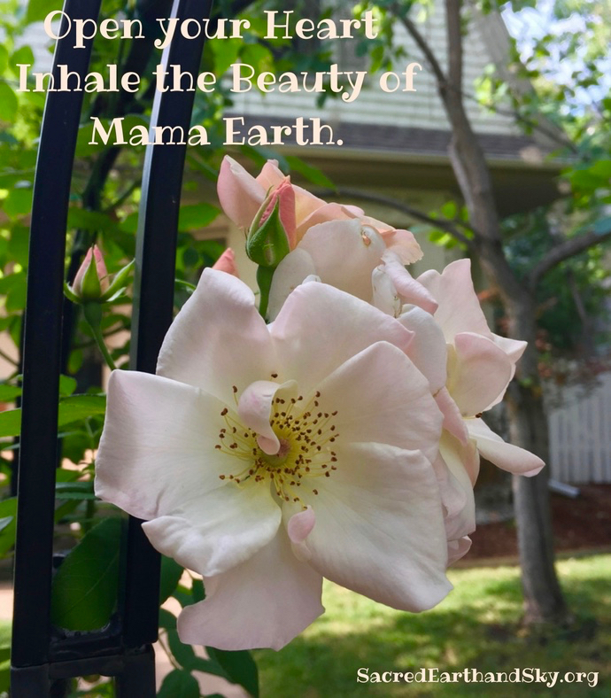 Inhale the Beauty